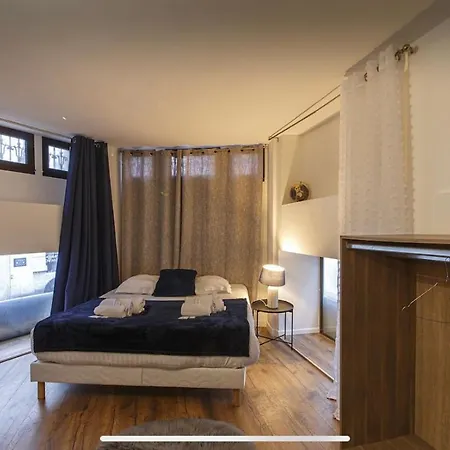 Logement Hyper-centre Idealement Situe Home-voltaire * Ανζέρ